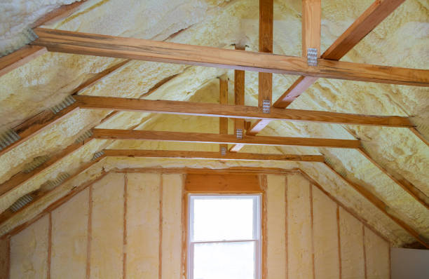 Best Energy Efficiency Solutions in Conway, SC